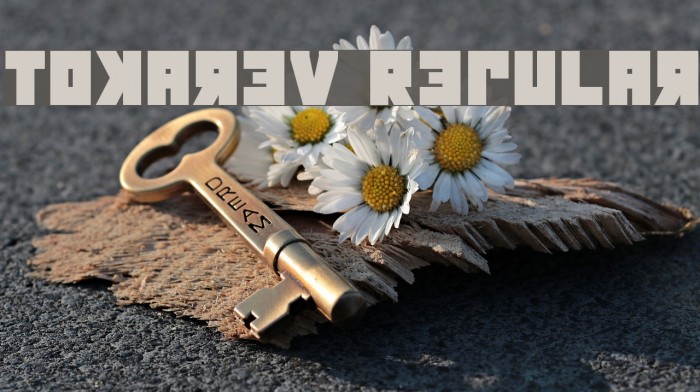 Tokarev Regular Font examples
