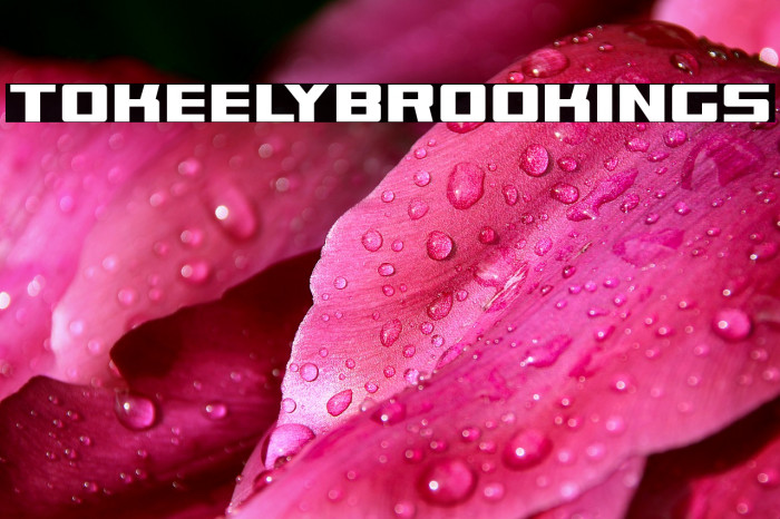 TokeelyBrookings Font examples