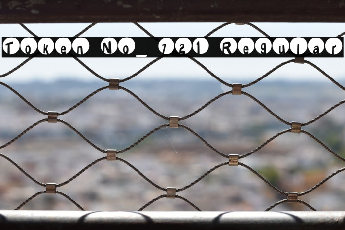Token No_ 721 Regular Example 2