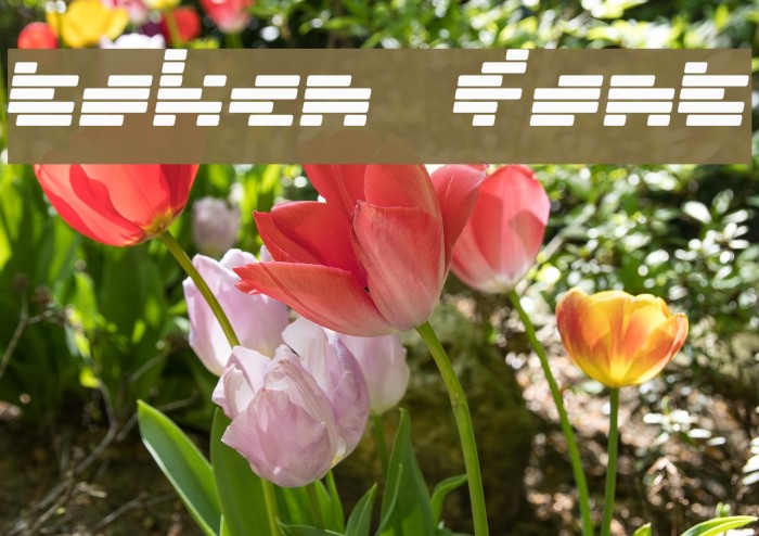 Token Font examples