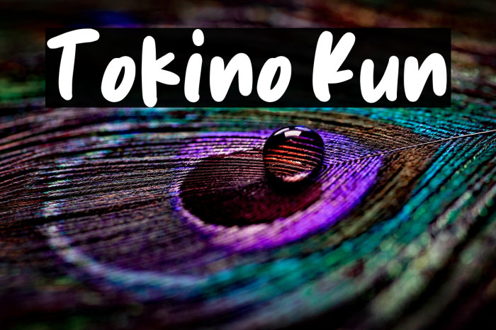 Tokino Kun Example 1