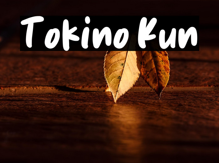 Tokino Kun Example 2