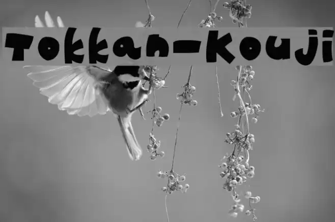 Tokkan-Kouji Font examples