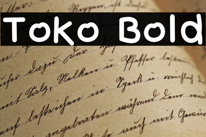 Toko Bold Example 2