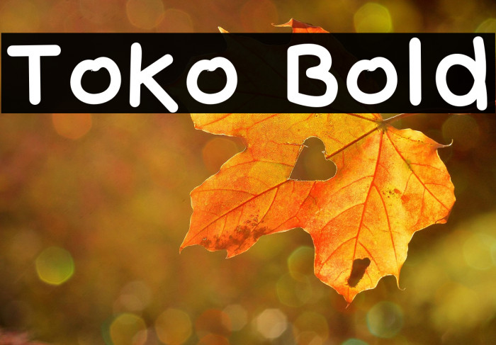 Toko Bold Example 3