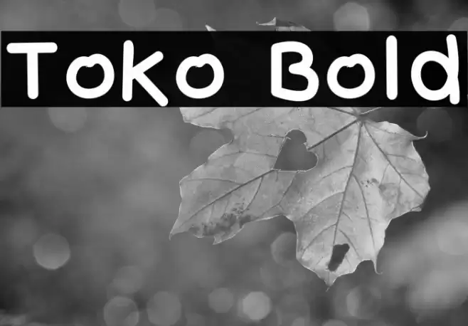 Toko Bold خط examples