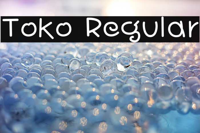 Toko Regular Example 1