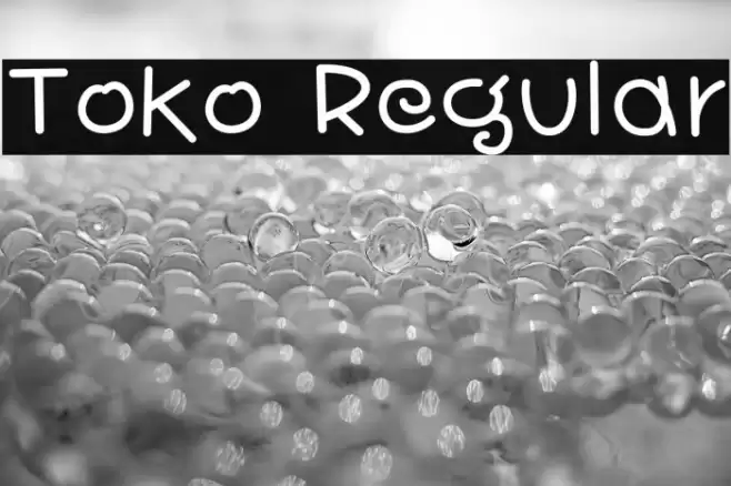 Toko Regular 字体 examples