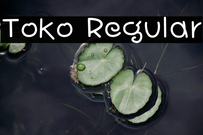 Toko Regular Example 2