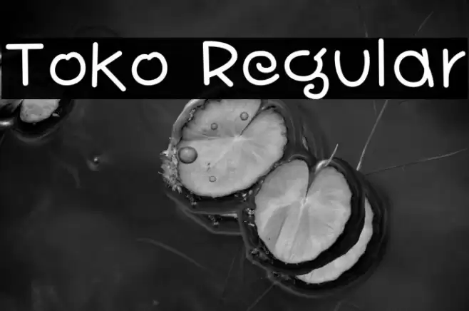 Toko Regular 字体 examples