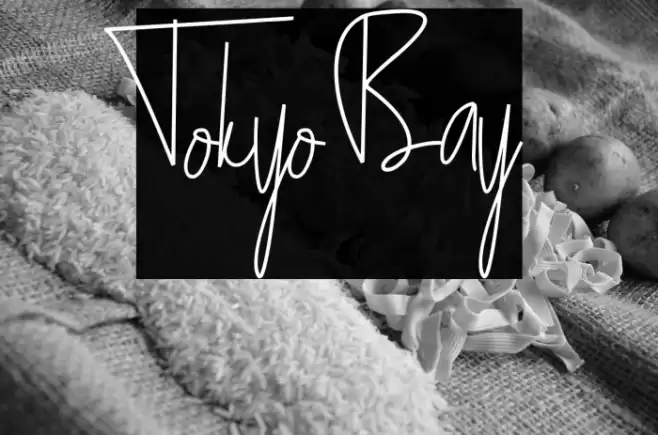 Tokyo Bay Font examples