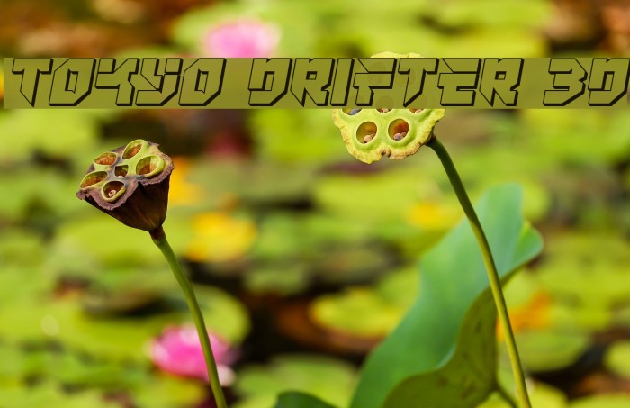 Tokyo Drifter 3D Font examples