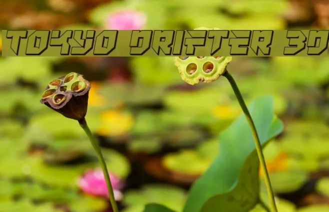 Tokyo Drifter 3D Example 1