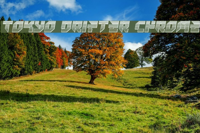 Tokyo Drifter Chrome Example 2