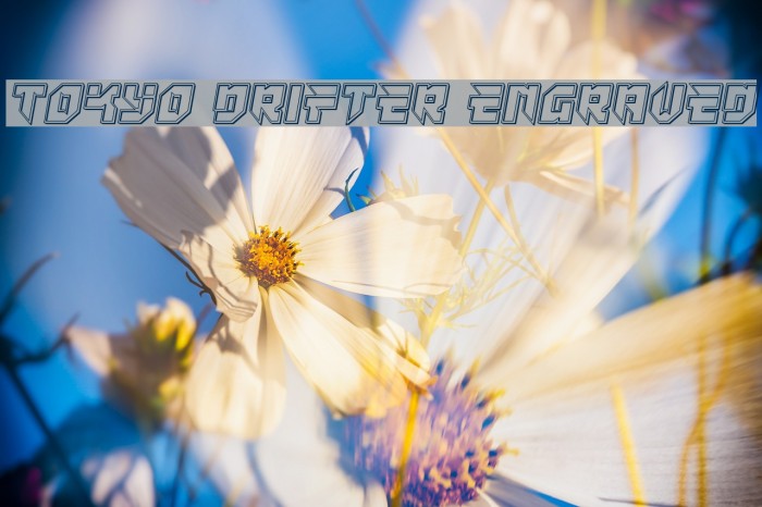 Tokyo Drifter Engraved Example 1
