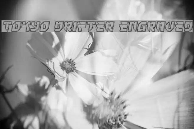 Tokyo Drifter Engraved Font examples