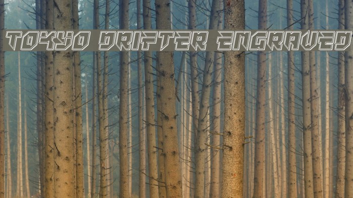 Tokyo Drifter Engraved Example 2