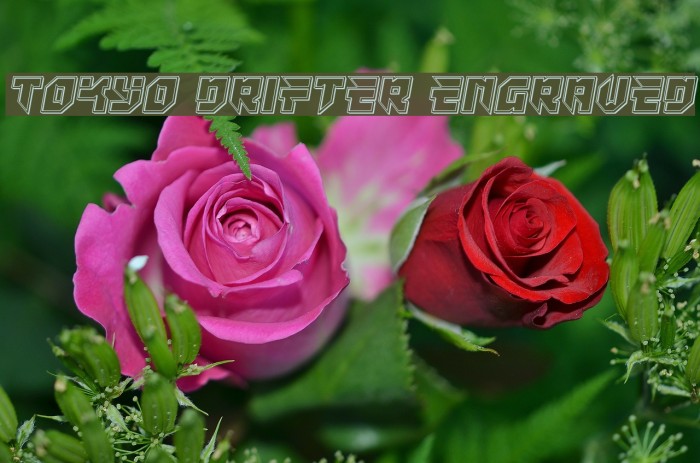 Tokyo Drifter Engraved Example 3