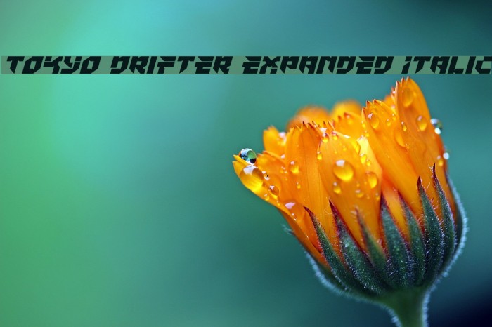 Tokyo Drifter Expanded Italic Example 1