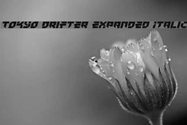 Tokyo Drifter Expanded Italic Font examples