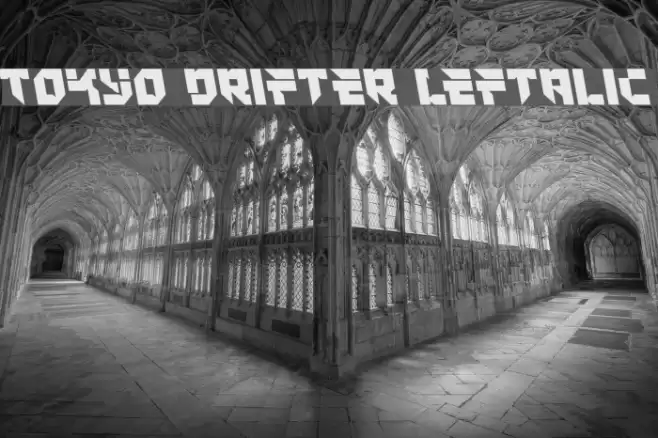 Tokyo Drifter Leftalic Font examples
