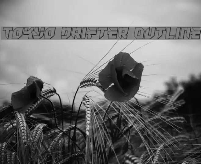 Tokyo Drifter Outline Font examples