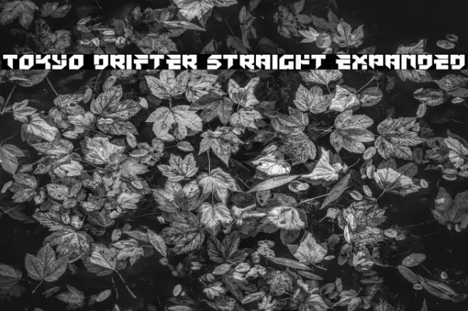 Tokyo Drifter Straight Expanded Font examples