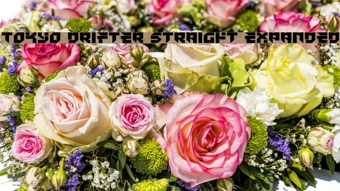 Tokyo Drifter Straight Expanded Font examples