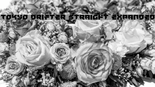 Tokyo Drifter Straight Expanded Font examples
