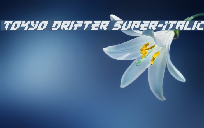 Tokyo Drifter Super-Italic Font examples