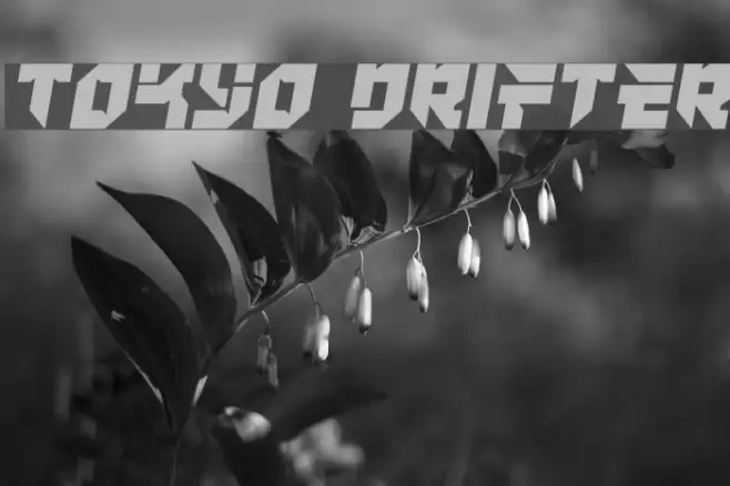 Tokyo Drifter Font examples