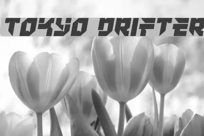 Tokyo Drifter Font examples