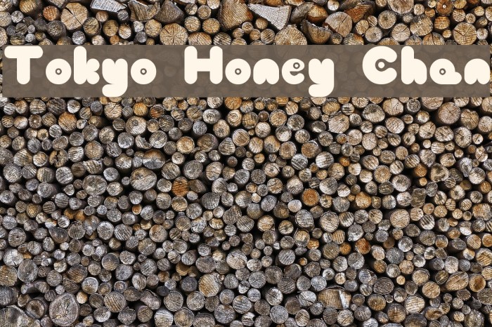 Tokyo Honey Chan Font examples