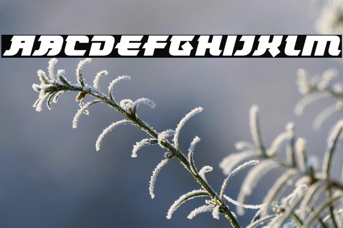 Tokyo Knights Italic Example 2