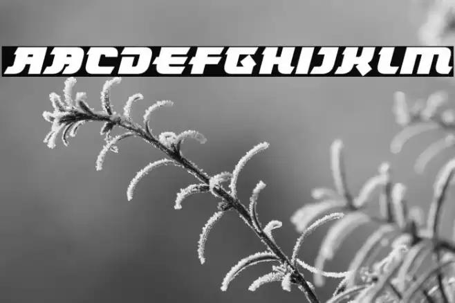 Tokyo Knights Italic Font examples