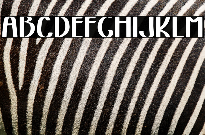 Tokyo Night Example 2