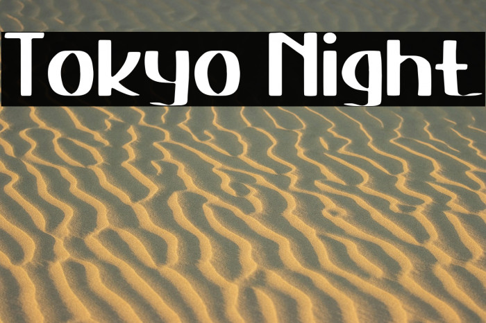 Tokyo Night Example 1