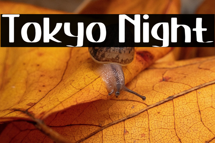 Tokyo Night Example 3