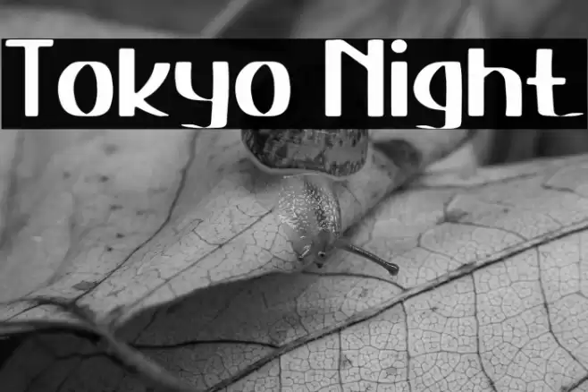 Tokyo Night Font examples