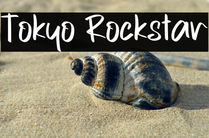 Tokyo Rockstar Example 3