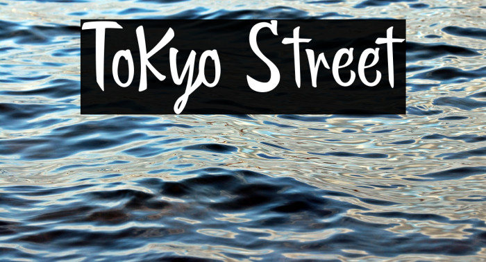 Tokyo Street Example 2