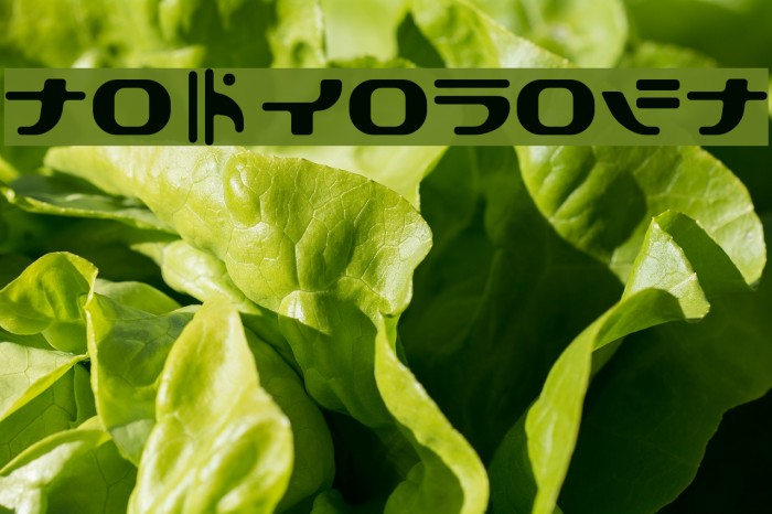 TokyoSoft Font examples
