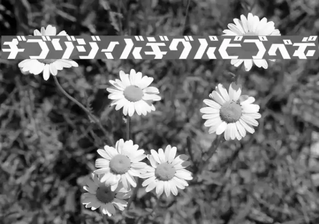 TokyoSquare Fonte examples