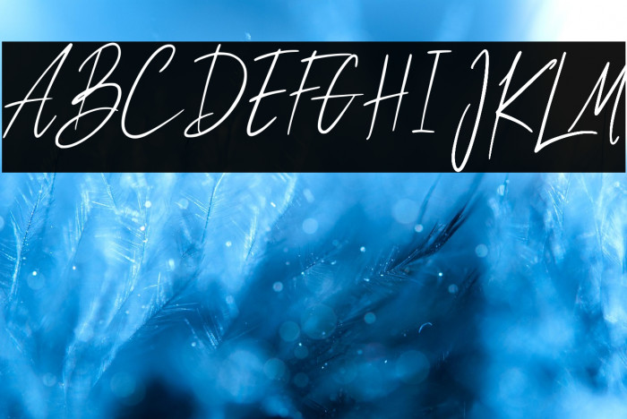 Tokyosign Demo Version Example 1