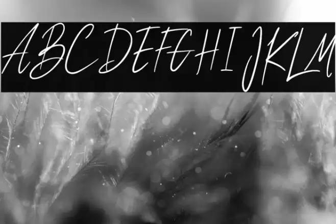 Tokyosign Demo Version Font examples