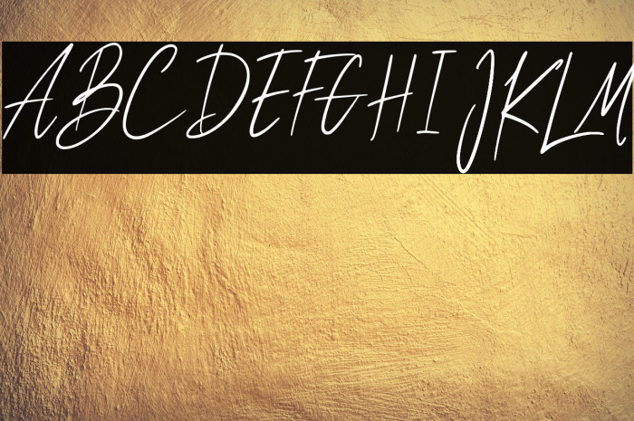 Tokyosign Demo Version Example 2