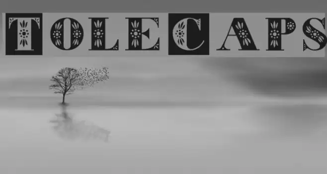 ToleCaps Font examples