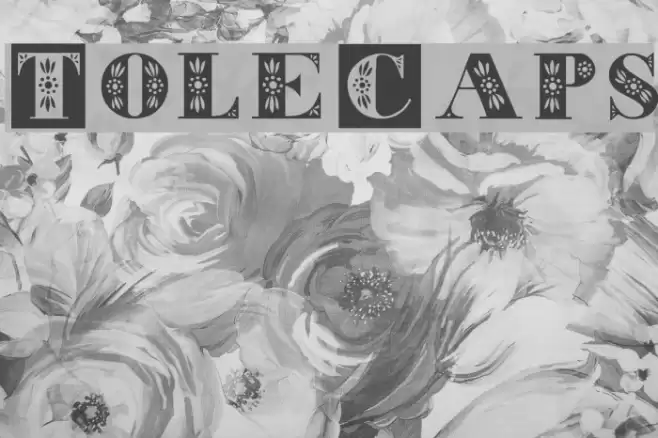 ToleCaps Font examples