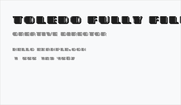 Toledo Fully Filled Regular Business Card