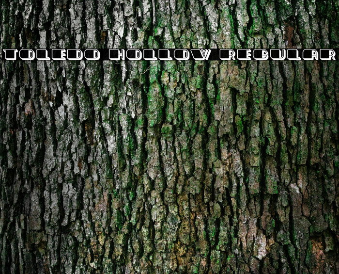 Toledo Hollow Regular Font examples